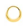 16GA 316L Stainless Steel Polished Domed Thick Hoop Hinged Segment Ring (Gold Tone) view 1
