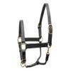 Derby Originals Premium Leather Horse Halter  Triple-Stitched Double-Layer Design with Throat Snap  Adjustable Crown & Noseband, Solid Brass Hardware  1-Year Warranty view 1