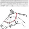 Derby Originals Premium Leather Horse Halter  Triple-Stitched Double-Layer Design with Throat Snap  Adjustable Crown & Noseband, Solid Brass Hardware  1-Year Warranty view 2