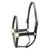 Derby Originals Triple-Stitched Leather Horse Halter  Premium Double-Layer Design with Brass Hardware  No Throat Snap for Safety, Classic Track Style  One-Year Warranty view 1