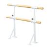 Studio Ballet Barre, Lifting Mobile Ballet Bar Portable for Home, Freestanding Adjustable Dance Sticks for Stretch, Workouts (White 1 m) view 1