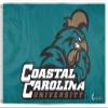AGAS Coastal Carolina University Flag Chanticleers CCU Flags - Polyester material with Brass Grommets 3 x 5 Feet - Officially Licensed College Flags view 1