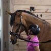 Thinline Halter Busy Buddy - Equestrian Tack Accessories Durable Versatile Easy to Use Universal Horse Calming Pacifier Relaxation Tool with Latex Mouth Piece view 4