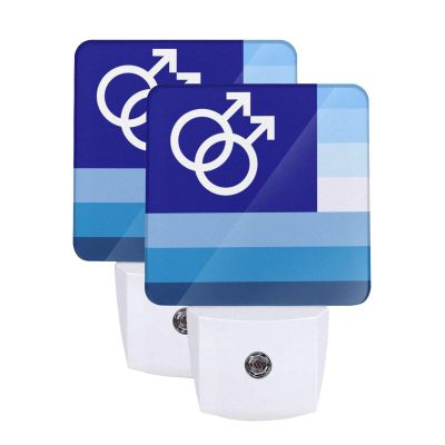 Qauirfe Gay Men Pride Flag LGBTQ Night Light Set of 2 Home Decor