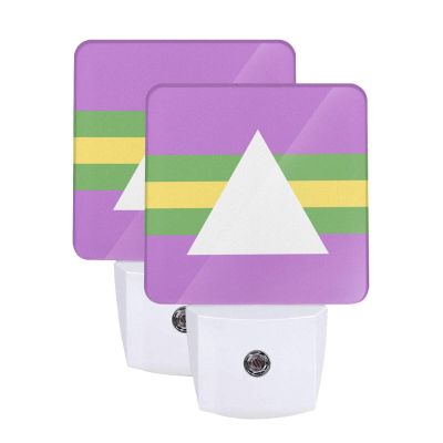 Qauirfe Brazillian Intersex Pride Flag Night Light Set of 2 Home Decor