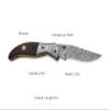 GLADIUS CRAFTS | Viking Explorer Folding Knife made from Damascus Steel: Unleash Your Inner Adventurer with This Compact and Stylish EDC Tool Precision Craftsmanship, Portability, and Versatility in One Sleek Package!" view 3