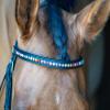 Grewal Equestrian Rainbow Crystal Cup Chain Browband (Cob) view 3