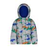 Carter's Boys Heavyweight Winter Puffer Jacket, Warm, Hooded Winter Coat, Grey With Dinosaurs, Size 7 view 1