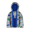 Carter's Boys Heavyweight Winter Puffer Jacket, Warm, Hooded Winter Coat, Grey With Dinosaurs, Size 7 view 2
