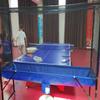 Adults & Kids Training Table Tennis Ball Catcher Net, Movable Ping Pong Practice Collection System for Ball Shooters Multi-Ball Drills and Serve Practice, Metal Frame Recycle Catching Equipment view 2