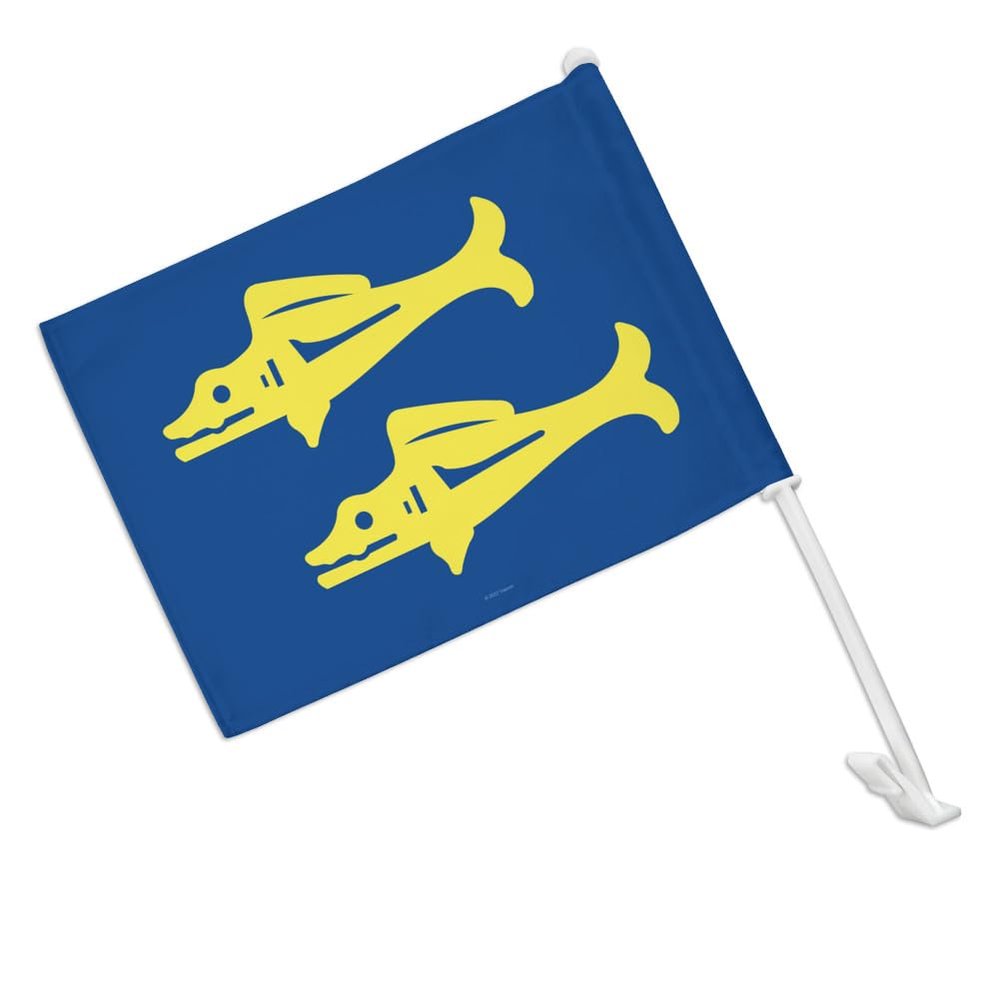 Hidden Temple Blue Barracudas Car Truck Flag with Window Clip On Pole Holder
