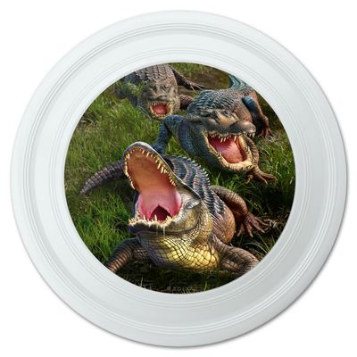 Alligators Novelty 9" Flying Disc