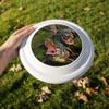 Alligators Novelty 9" Flying Disc view 2