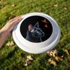 Black Cat Butterflies Novelty 9" Flying Disc view 2