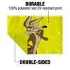 Looney Tunes Wile E Coyote Car Truck Flag with Window Clip On Pole Holder view 3