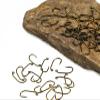 KTGCOZS Pack of 100 60 Fly Tying Hooks Barb Curved Shank Jig Fly Tying Hooks 10#-16# (10# 100pcs) view 2