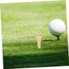Amosfun 200pcs Golf Tees Lightweight Golf Holders for Tees for Easy Installation and Use view 3