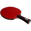 JITEM Ping Pong Paddles, Table Tennis Bat Set, Arc-Ring Combination Fast Attack Table Tennis Racket, 9 Star Professional Ping Pong Bat for Players and Coaches view 2