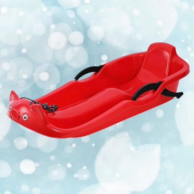 Two-Handle Children's Sledges, Frost-Resistant and Wear-Resistant Sledges, Two-Person Padded Sledges, Sledges with Backrests
