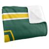Arkansas Tech University Blanket, 60"x80" Primary Logo Stripes Silky Touch Super Soft Throw Blanket view 3