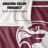 Fairmont State University Blanket, 60"x80" Primary Logo Silky Touch Super Soft Throw Blanket view 4