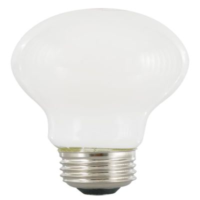 Sylvania Osram 3005203 100W A21 E26 LED Bulb for Outdoor, Soft White - Pack of 22