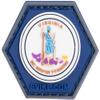 Evike Operator Profile PVC Hex Patch State Flag Series (Model: Virginia) view 1