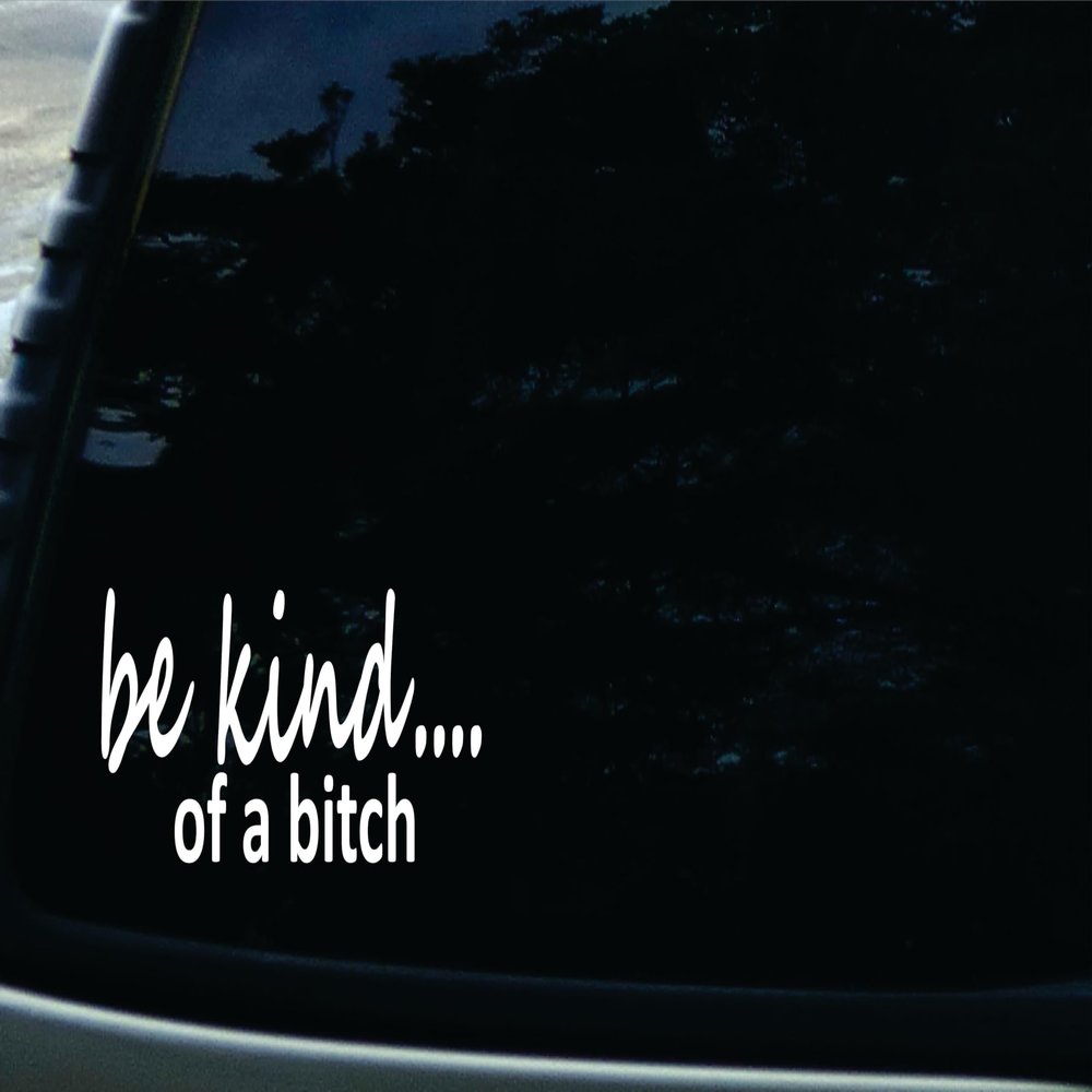 6" X 3" Be Kind of a Bitch Funny die Cut Decal for Your car, Truck, Window, Laptop, or virtually Any Other Smooth Surface.