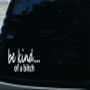 6" X 3" Be Kind of a Bitch Funny die Cut Decal for Your car, Truck, Window, Laptop, or virtually Any Other Smooth Surface. view 1