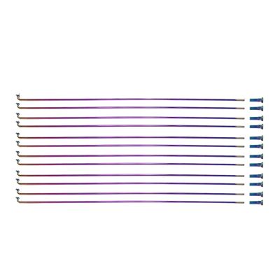 NORAZE Rainbow Color Bicycle Spokes with Nipples for 26/27.5/29 Inch Wheel Mountain Road Bike Stainless Steel Bike Spokes (Color : Rainbow, Size : 12pcs 263mm)