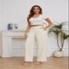 FUNYYZO Women Suit Pants Wide Leg Pants High Elastic Waisted in The Back Business Work Trousers Long Straight Beige view 2