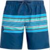 Orbit Swim Trunks view 1