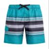 Linear Swim Trunks view 1