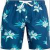 Driftway Swim Trunks view 1