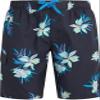 Driftway Swim Trunks view 1