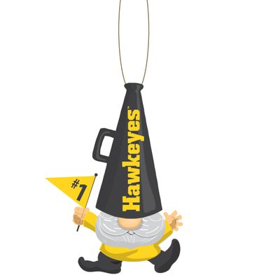 University of Iowa, Gnome Mega ORN