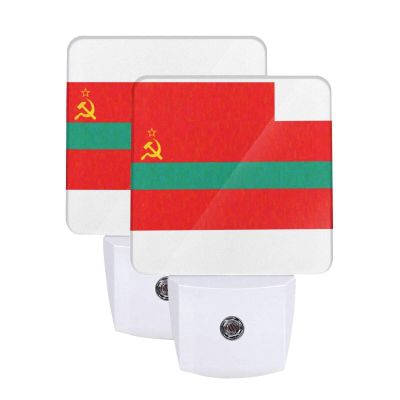 Qauirfe Flag of Transnistria Oil Painted Night Light Set of 2 Home Decor