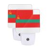 Qauirfe Flag of Transnistria Oil Painted Night Light Set of 2 Home Decor view 1