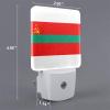 Qauirfe Flag of Transnistria Oil Painted Night Light Set of 2 Home Decor view 2
