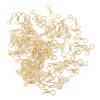 300PCS Carp Fishing Wire Eyes Sinker Steel Alloy Screw Leads MouldTackle Accessory, 2 Available, Suitable for Freshwater and Saltwater Fishing (S) view 1