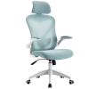 Executive Desk Chair Ergonomic Office Chair Swivel Chair Task Chair High Back Desk Chair with Lumbar Support, Breathable Mesh Back, Thick Seat Cushion and Adjustable Headrest Office Chair (Color : Bi view 1
