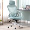 Executive Desk Chair Ergonomic Office Chair Swivel Chair Task Chair High Back Desk Chair with Lumbar Support, Breathable Mesh Back, Thick Seat Cushion and Adjustable Headrest Office Chair (Color : Bi view 2