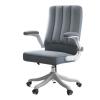 Executive Desk Chair Ergonomic Office Chair with Lumbar Support and Flip Armrests, Adjustable Height Swivel Executive Desk Chair and PC Desk Chair Office Chair (Color : A) view 1