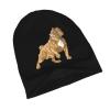 Byoblu American Bully Adult Knitted Hat Beanie Winter Warm Skull Hat - Men Women Black view 3