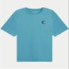 CARIBBEAN JOE Men's Rash Guard, Party Animal Long Sleeve Sun Protection Swim, Beach and Fishing T-Shirt Top, Sage Gray, XX-Large view 2