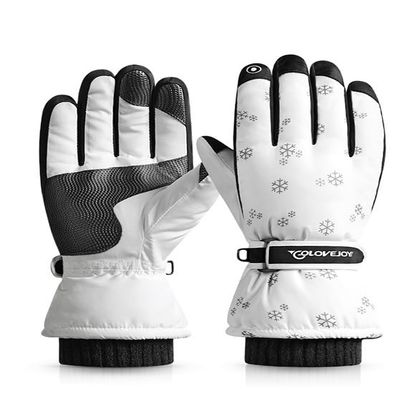 DEXSUN Snowboard Gloves, stuffy, Waterproof, Warm, Fingered, Five-Fingered, Mountaineering Men and Women