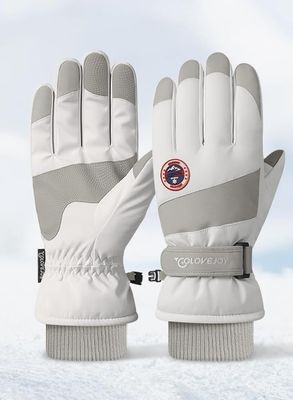 DEXSUN Snowboard Gloves, stuffy, Waterproof, Warm, Fingered, Five-Fingered, Mountaineering Men and Women