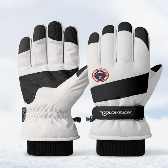 DEXSUN Snowboard Gloves, stuffy, Waterproof, Warm, Fingered, Five-Fingered, Mountaineering Men and Women