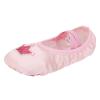 Ballet Slippers for Girls Ballet Shoes Boys Soft Leather Cute Dance Practice Shoes for (Rose Gold, 10.5 Little Child) view 1