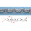 Smart Choice Marine Hot Dipped Galvanized BBB 144 m Micron Thick DIN766 High Test Marine Anchor Chain Choose Size and Length (5/16" BBB 144 m Micron Thick DIN766, 100 feet) view 4